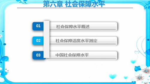 社会保障概论--社会保障水平