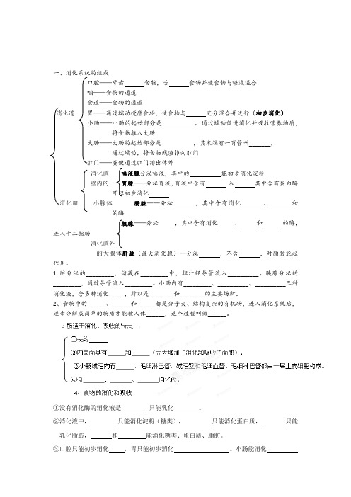 1. 2 消化和吸收学案(鲁科版八年级上)