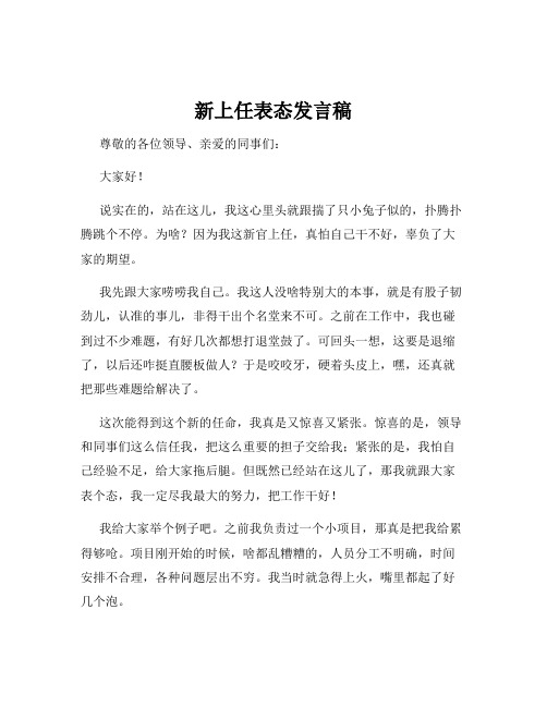 新上任表态发言稿