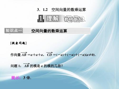 2016-2017学年高中数学人教版选修2-1课件：3.1.2 空间向量的数乘运算