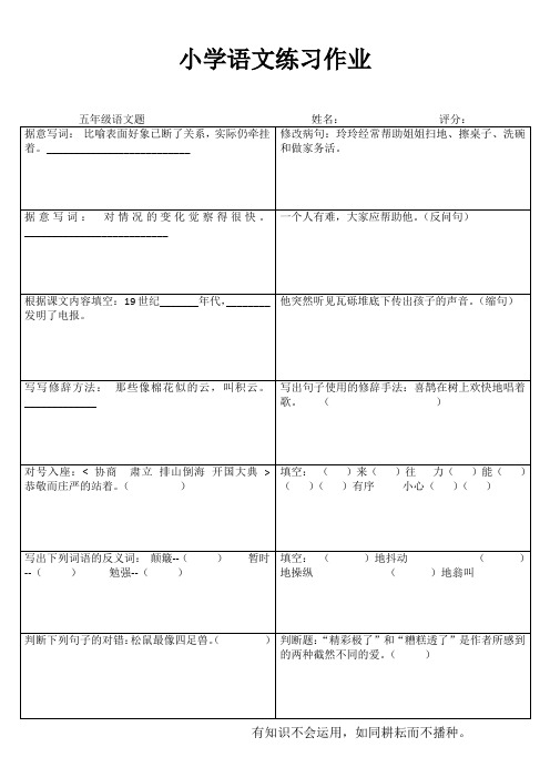 小学五年级语文课堂练习III (6)