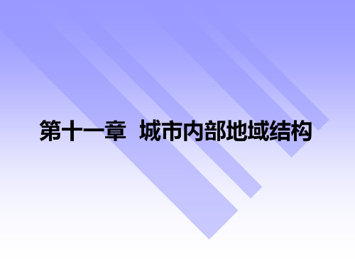 第11章城市内部地域结构分析解析