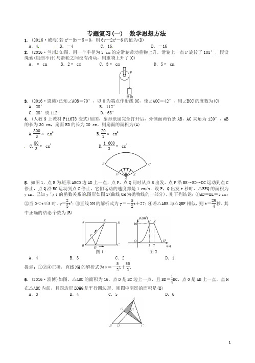 中考数学总复习 第二轮 中考题型专题 专题复习(一)数学思想方法试题及答案