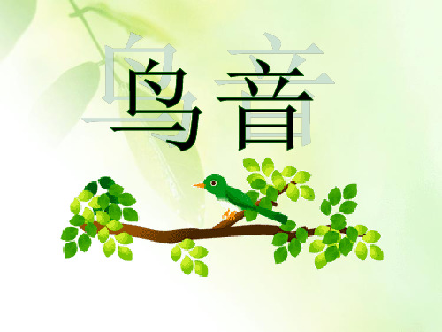 《鸟音》课件2
