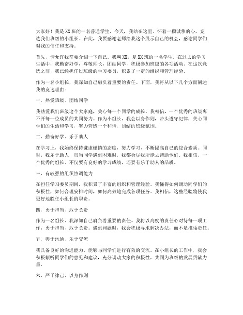 班级小组长竞选发言稿