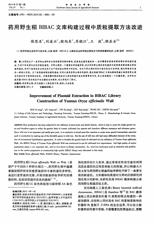 药用野生稻BIBAC文库构建过程中质粒提取方法改进