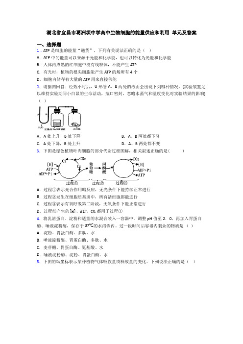 湖北省宜昌市葛洲坝中学高中生物细胞的能量供应和利用 单元及答案