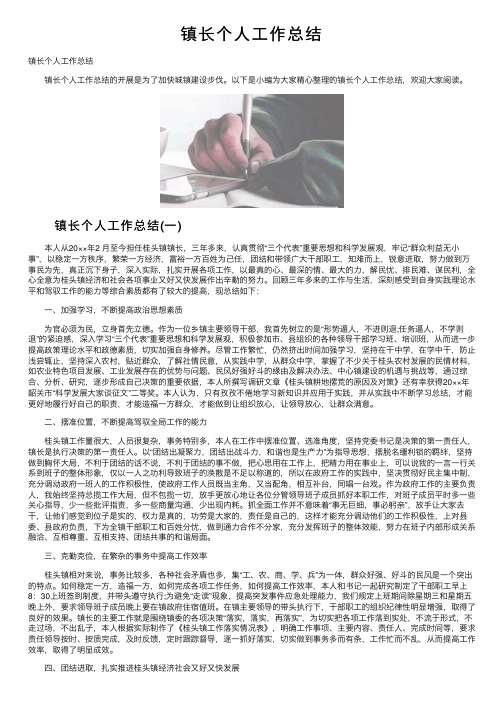 镇长个人工作总结