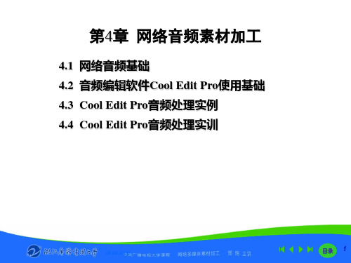 网络多媒体素材加工(15)38页PPT