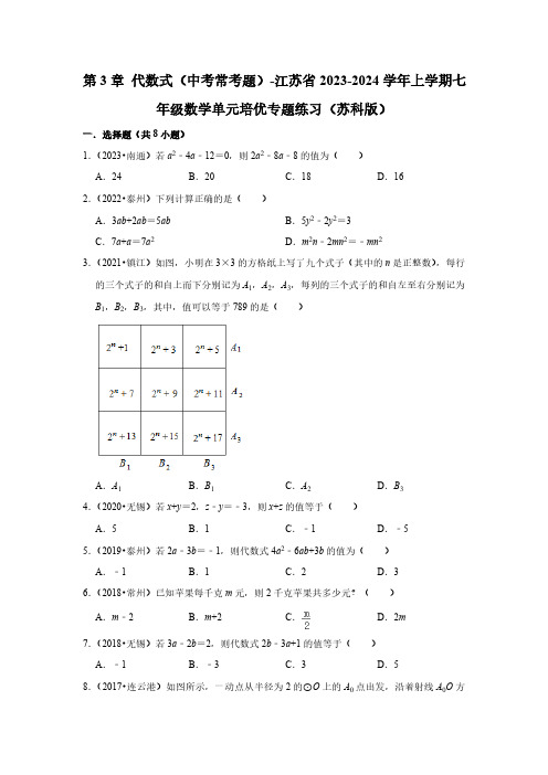 第3章 代数式(中考常考题)-江苏省2023-2024学年上学期七年级数学单元培优