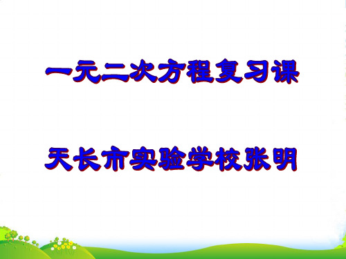 九年级数学上册 第2章一元二次方程复习课件 浙教