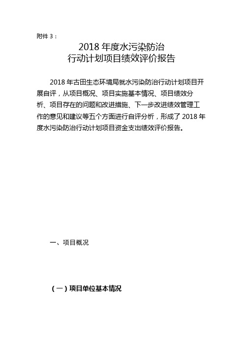 2018年度水污染防治行动计划项目绩效评价报告【模板】