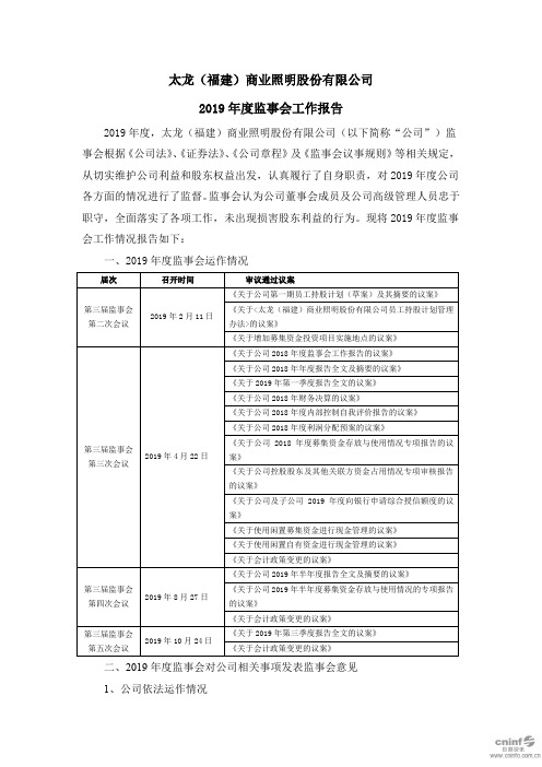 太龙照明：2019年度监事会工作报告