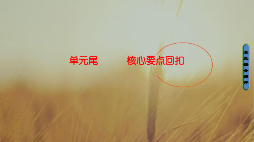 2017-2018学年高中英语北师大版选修六同步课件:Unit 17 单元尾 核心要点回扣 精品