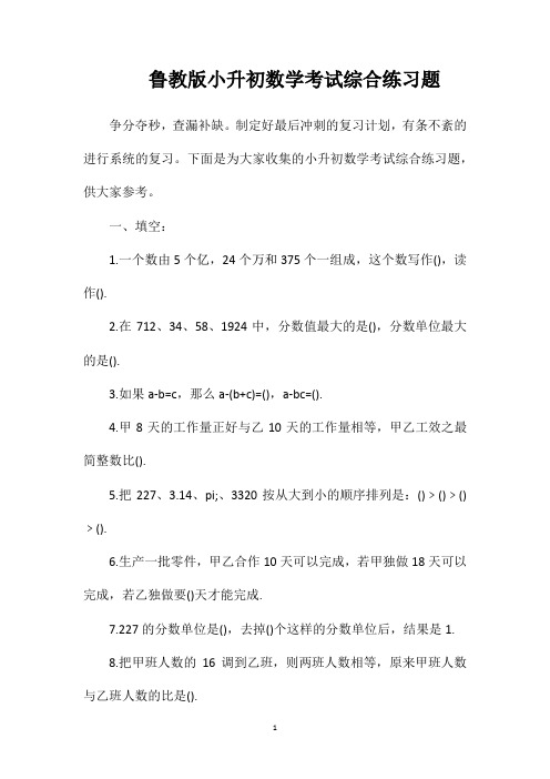 鲁教版小升初数学考试综合练习题