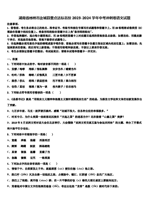 湖南省郴州市汝城县重点达标名校2023-2024学年中考冲刺卷语文试题含解析