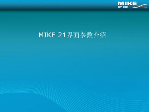 MIKE_21界面参数