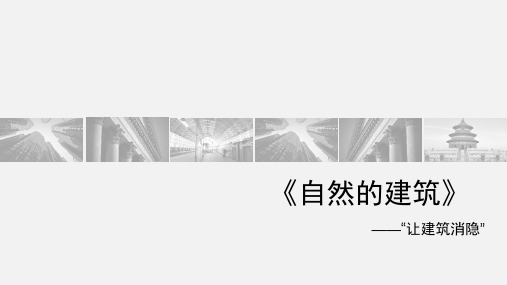 《自然的建筑》读书交流报告