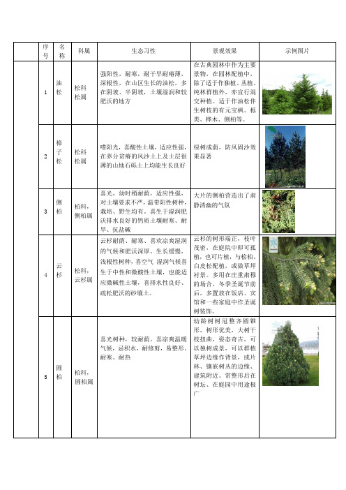 北疆常用植物