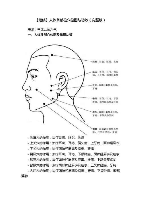 【经络】人体各部位穴位图与功效（完整版）