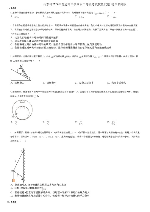 山东省2024年普通高中学业水平等级考试模拟试题 物理名师版