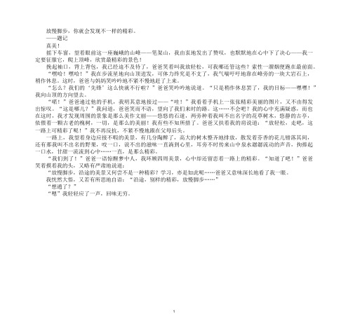 最新不一样的精彩作文800字作文