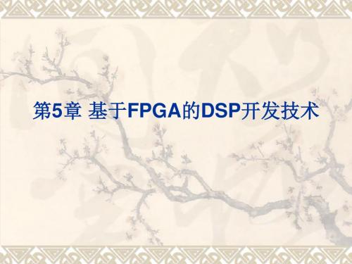 第5章基于FPGA的DSP开发(一)