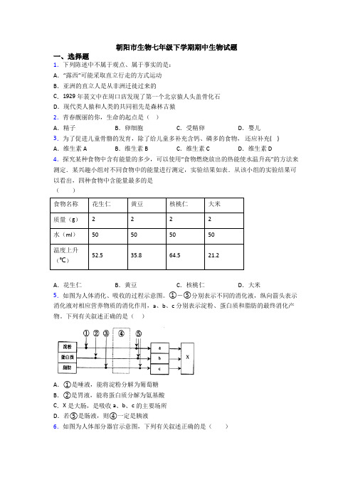 朝阳市生物七年级下学期期中生物试题