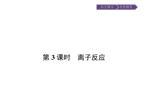 【南方新课堂】2015-2016学年高一化学苏教版必修1课件：2.2.3离子反应