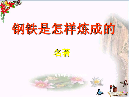 九年级中考语文复习课件：钢铁是怎样炼成的 (共45张PPT)(优质版)