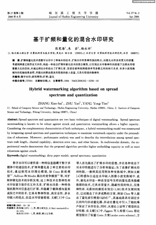 基于扩频和量化的混合水印研究