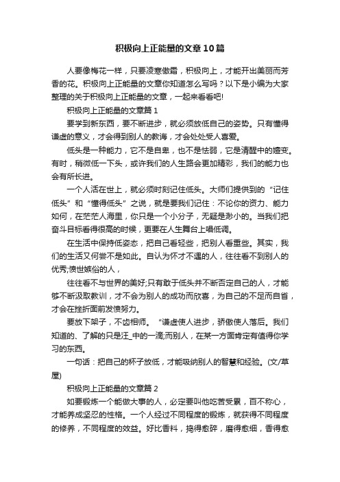 积极向上正能量的文章10篇