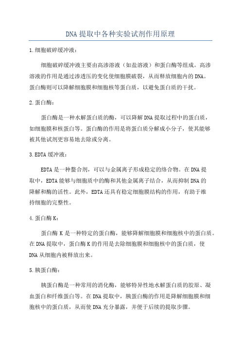 DNA提取中各种实验试剂作用原理