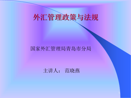 外汇管理政策法规培训-企业PPT幻灯片