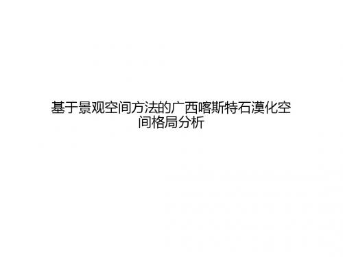 基于景观空间方法的广西喀斯特石漠化空间格局分析
