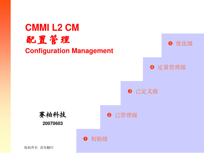 07-CMMI-L2-CM