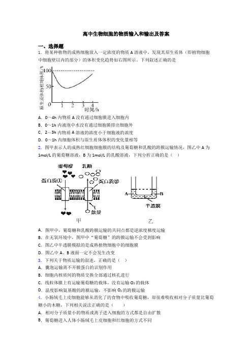 高中生物细胞的物质输入和输出及答案