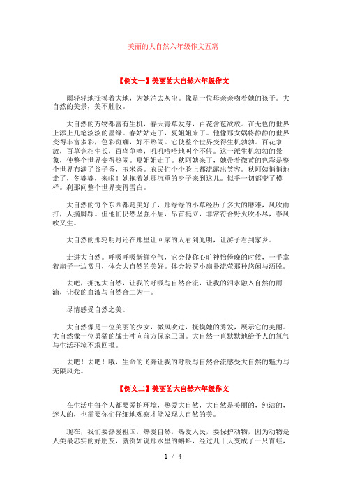 美丽的大自然六年级作文五篇