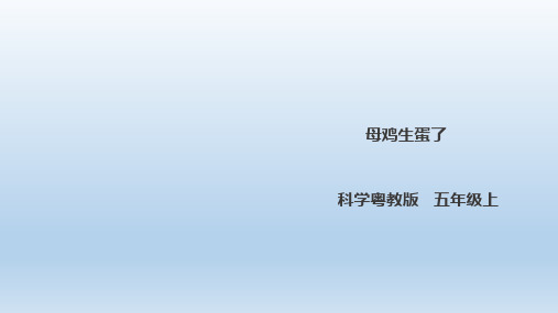 五年级上册科学课件-2.13《母鸡生蛋了》l 粤教版(共22张PPT)