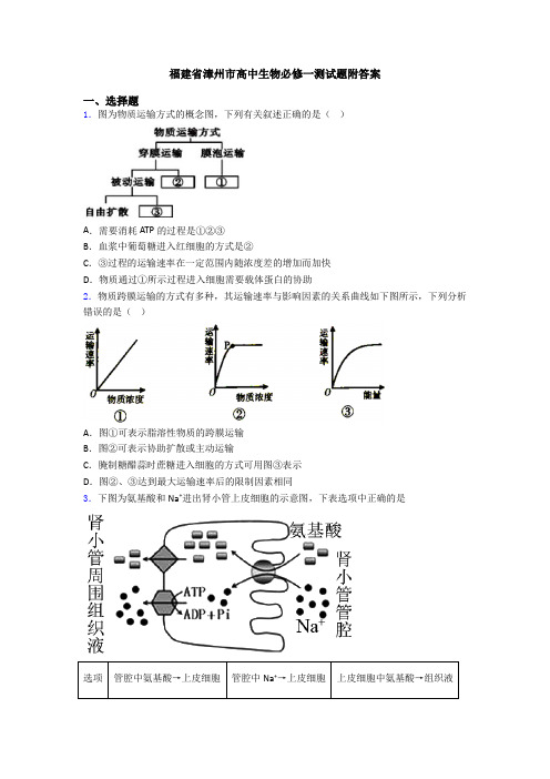 福建省漳州市高中生物必修一测试题附答案