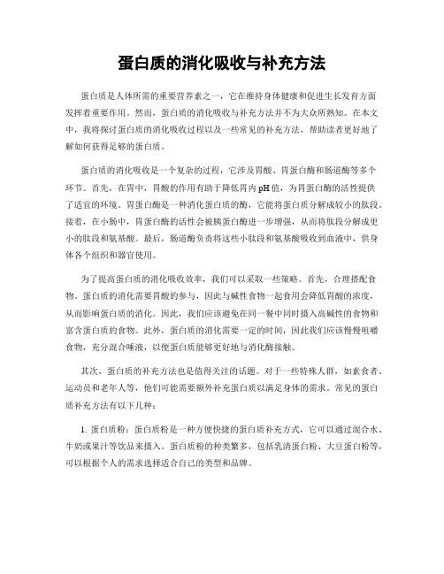 蛋白质的消化吸收与补充方法