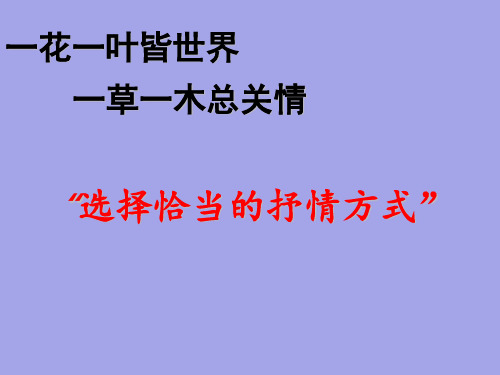 八年级语文下册写作指导《学会在记叙中穿插议论和抒情》课件