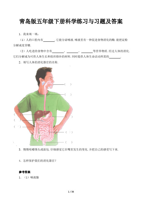 青岛版五年级下册科学练习与习题及答案