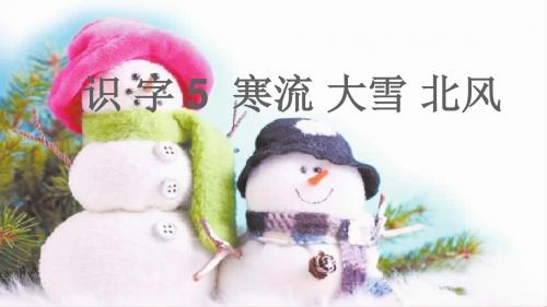 2017年苏教版语文二年级上册(课堂教学课件)识字5 寒流 大雪 北风