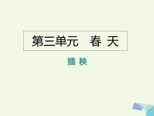 一年级语文下册3.2插秧 PPT精品课件7北师大版