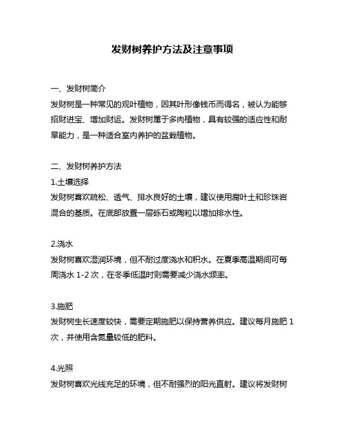 发财树养护方法及注意事项