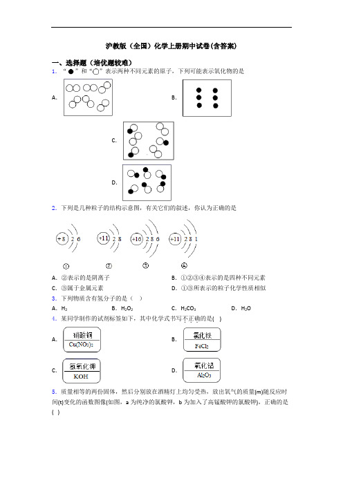 沪教版(全国)初三化学上册期中试卷(含答案)