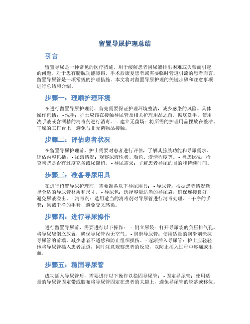 留置导尿护理总结