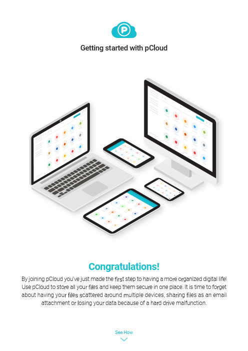 pCloud 云存储用户指南说明书