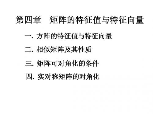 第一节 矩阵的特征值与特征向量